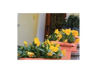 haus_radauer122_fuschl_am_see