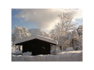 Bilder für Erwin 011