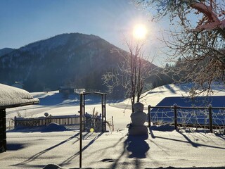 139501733_496407861325266_7964400204988032703_n