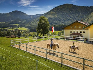 20190809_AmFerienbauernhofAussen_163_klein