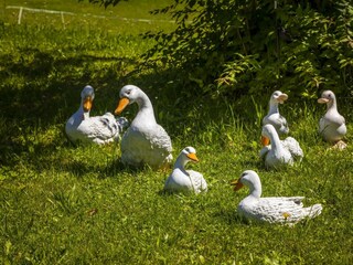20190809_AmFerienbauernhofAussen_095_klein