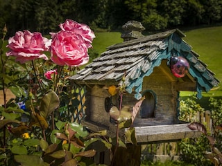20190809_AmFerienbauernhofAussen_042_klein