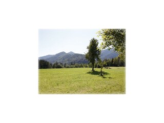 Fotogalerie Sommer - Burgi Ebner