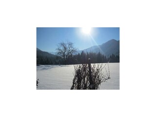 Traumhafte Winterlandschaft