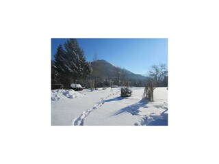 Spuren im Schnee - Blick von Fewo