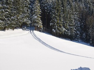 Apartment Faistenau Outdoor Recording 48