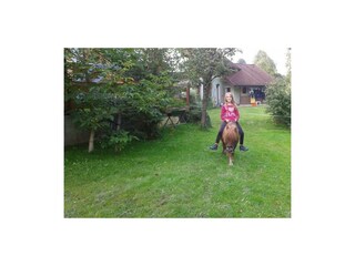 ferienhaus_wimmer_faistenau_29zs6