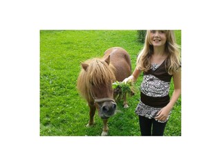 ferienhaus_wimmer_faistenau_29zs8