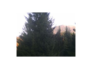 Blick von der Dachterasse aufs Wieserhörndl