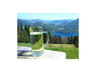 Durstlöschen mit Blick auf den Wolfgangsee