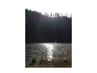 Fiblingsee in Fuschl