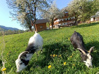 IMG_20250430_165133
