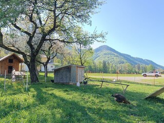 IMG_20250430_163924