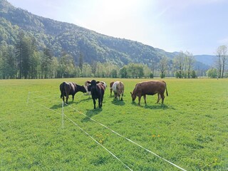 IMG_20250503_092427