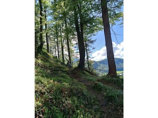 Umgebung (8)
