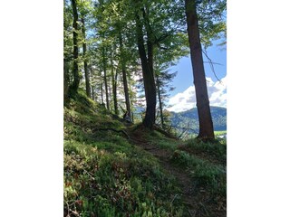 Umgebung (8)