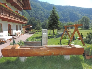 DSCN8675