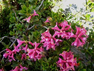 Appartamento per vacanze Antholz Ambiente 29