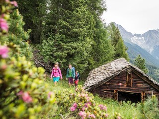 Appartamento per vacanze Antholz Ambiente 33