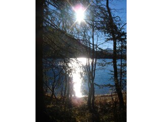 Appartamento per vacanze Antholz Ambiente 31