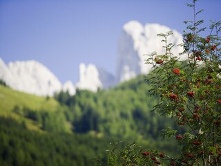 Wandermöglichkeiten vom Feinsten