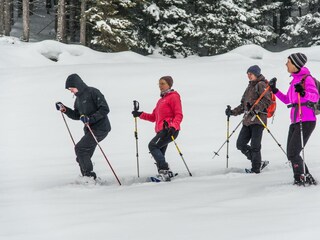 Der Winter bietet viele Möglichkeiten...