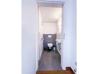 Weißklee_WC