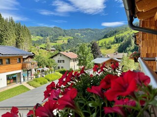 IMG_2884
