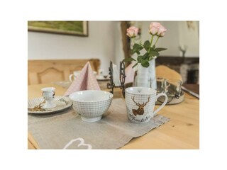 Ess_Wohnbereich_Apartchalet_almliebe (10)