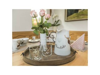 Ess_Wohnbereich_Apartchalet_almliebe (12)