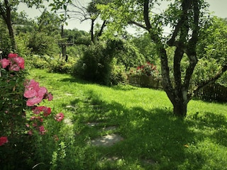 Wohlfühlgarten mit Schattenplatz