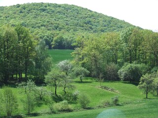 Wälder um Leinach