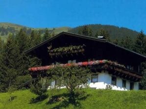 Apartment Haus Lassacher - Hollersbach im Pinzgau - image1