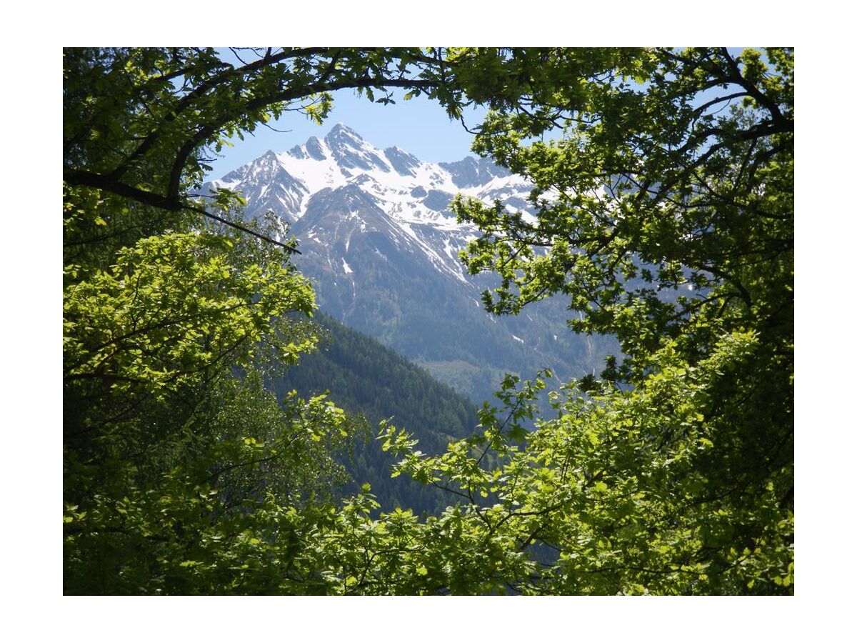 Blick von der Pension Burgwies auf die Berge