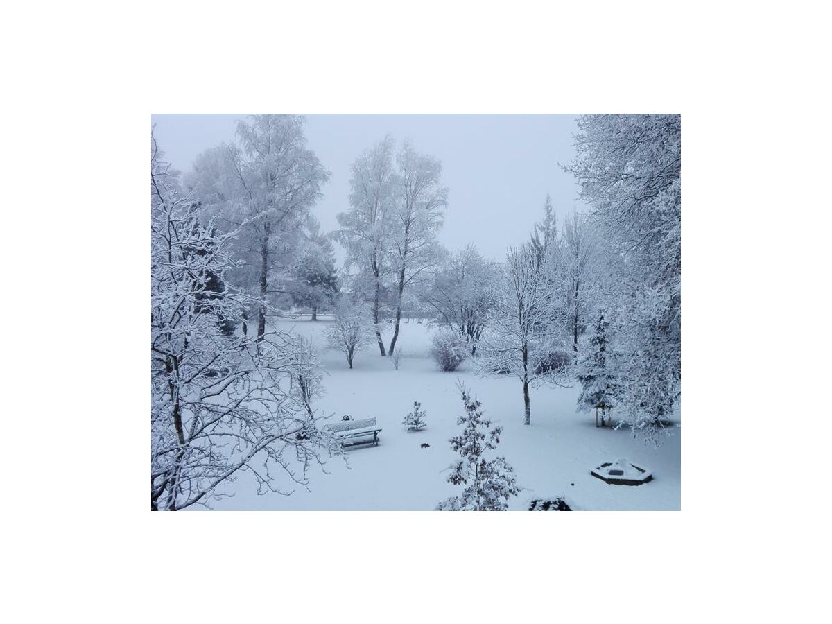 Blick in den Park von Heilbad Burgwies