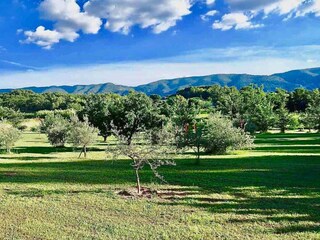 Casa de vacaciones Oppède Entorno 17