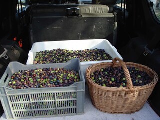 Casa per le vacanze Oppède Registrazione all'aperto 38