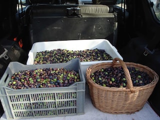 Maison de vacances Oppède Enregistrement extérieur 38