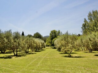 Casa de vacaciones Oppède Entorno 12