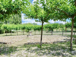 Casa per le vacanze Oppède Registrazione all'aperto 31