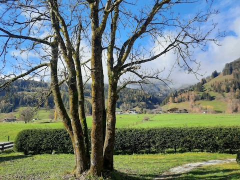 Apartment Haus Kreuzboden