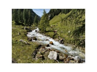 Karin&Franz-GasthBräu, Foto Wilfried Kräling (28)