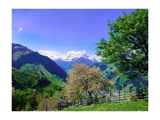 2018-05-06-15-47-06-330