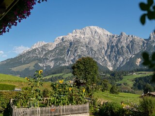 Mit Blick auf die Leoganger Steinberge