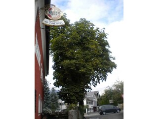 Schattiger  Gastgarten