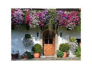 Blumenschmuck Matzhof