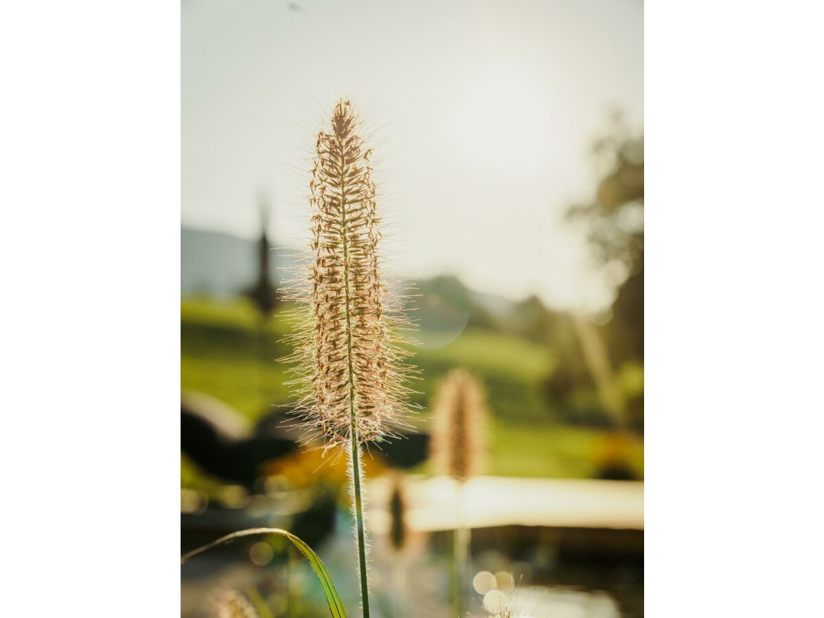 Garten_Das_Stoaber_Leogang