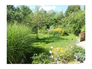 Blick_in_den_Garten