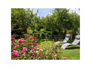 Liegewiese im Garten