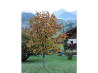 Herbst ist eingezogen
